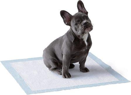 Amazon Basics Dog and Puppy Leak-proof 5-Layer Potty Training Pads with Quick-dry Surface