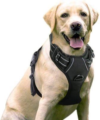 rabbitgoo-Dog-Harness