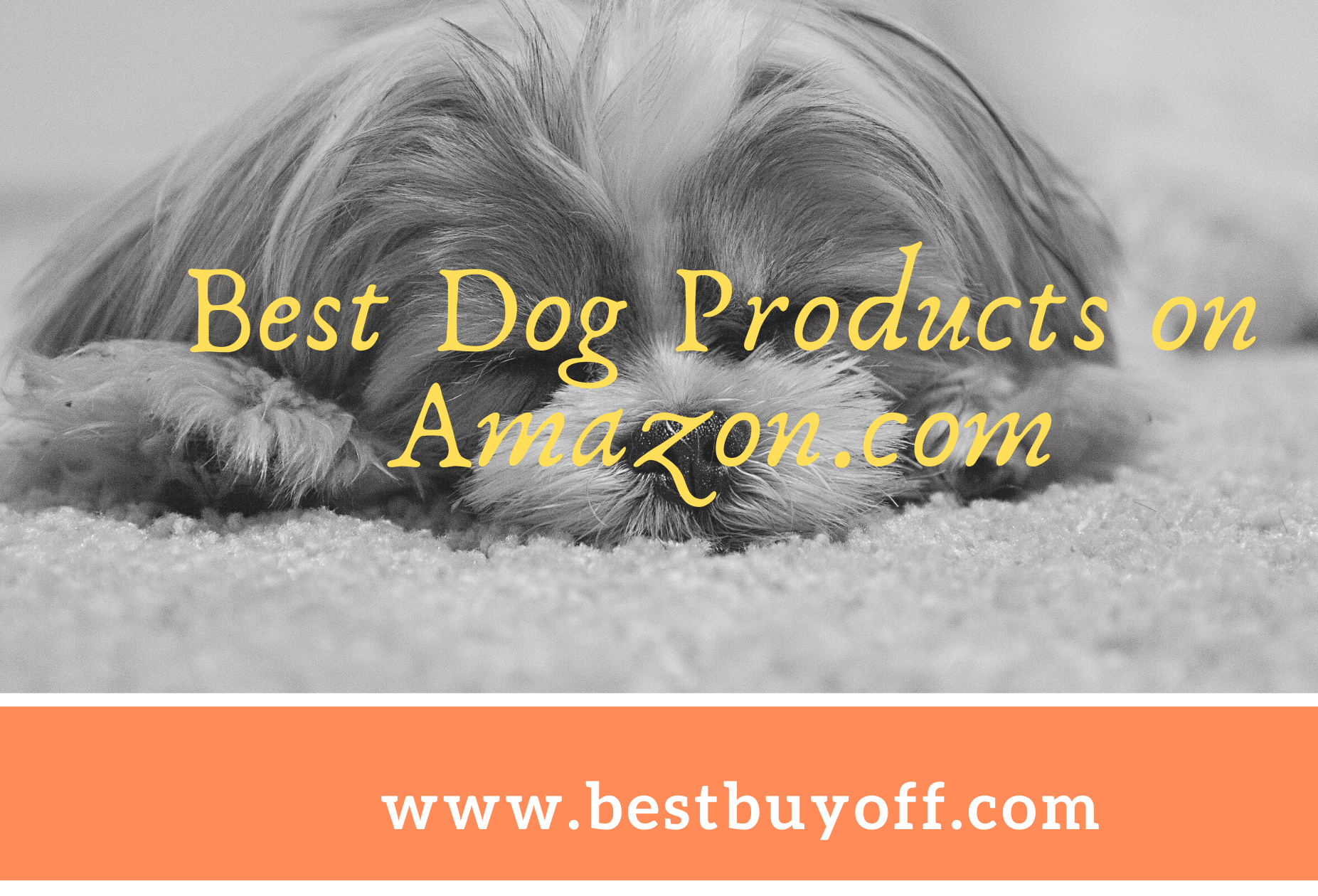 best dog products on amazon